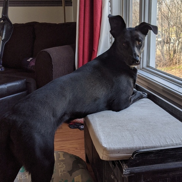 Meet your Posher, Andy - Picture 1 of 1